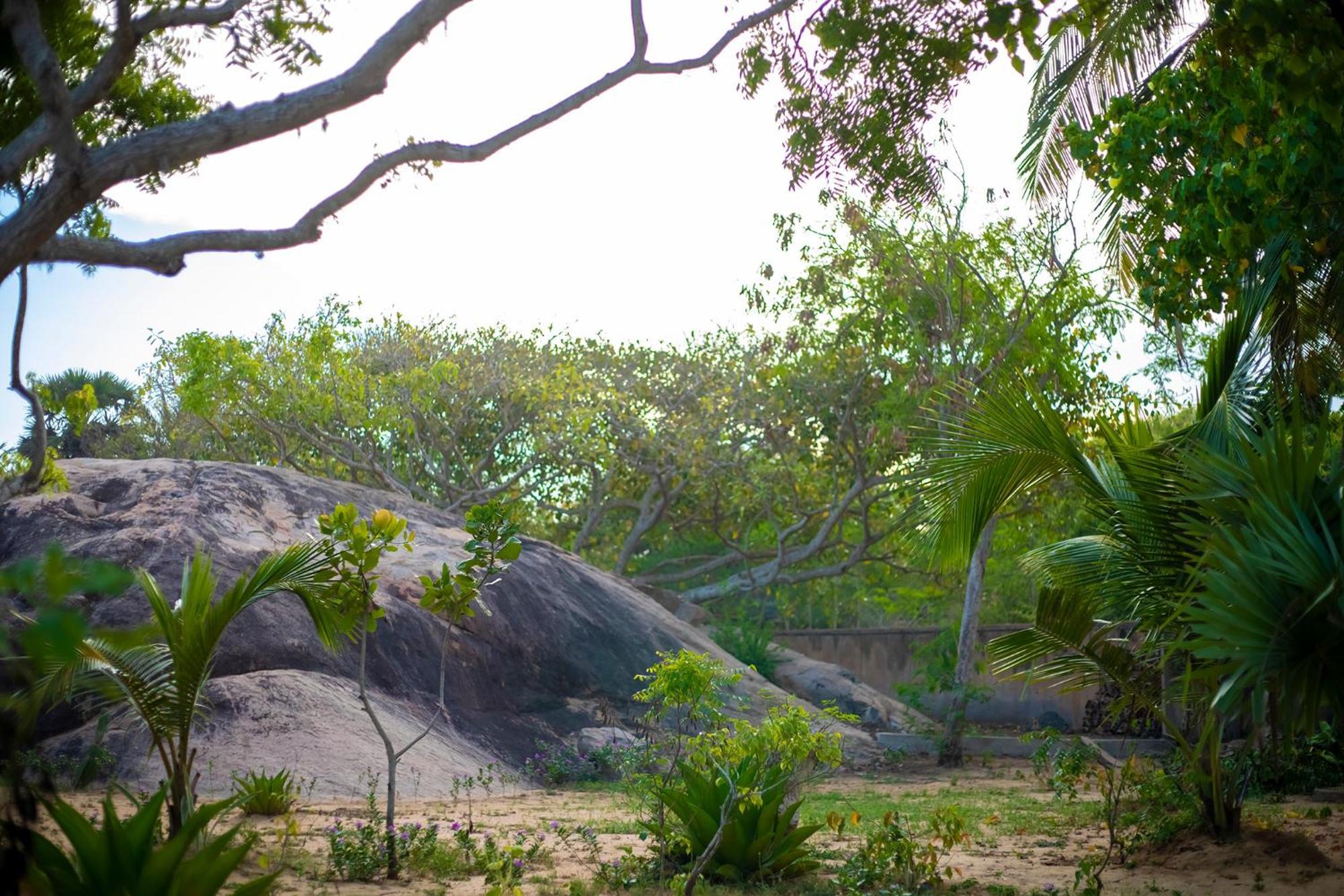 Nikara Luxury Beach House ทิซซามาฮารามา ภายนอก รูปภาพ