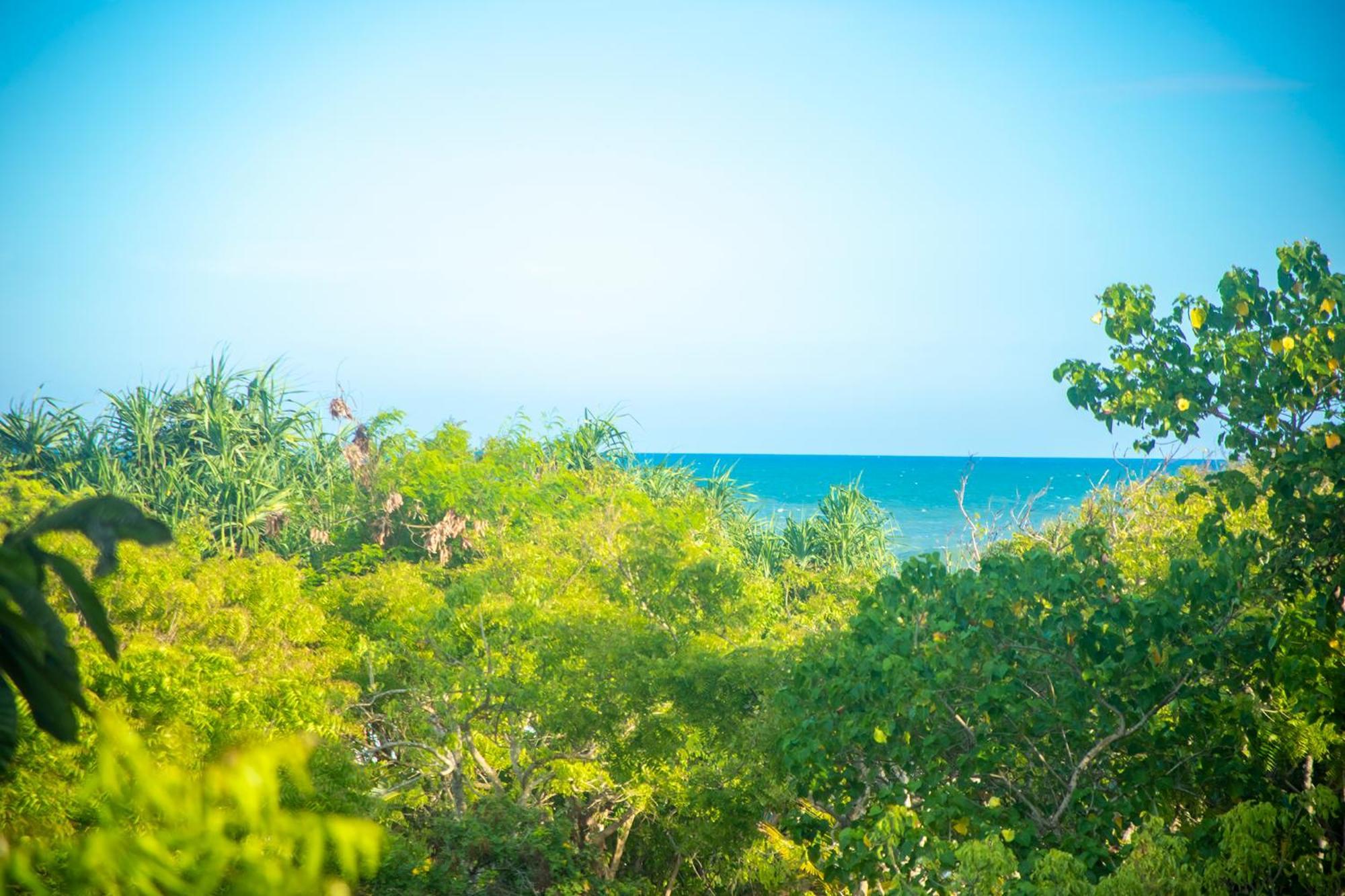 Nikara Luxury Beach House ทิซซามาฮารามา ภายนอก รูปภาพ