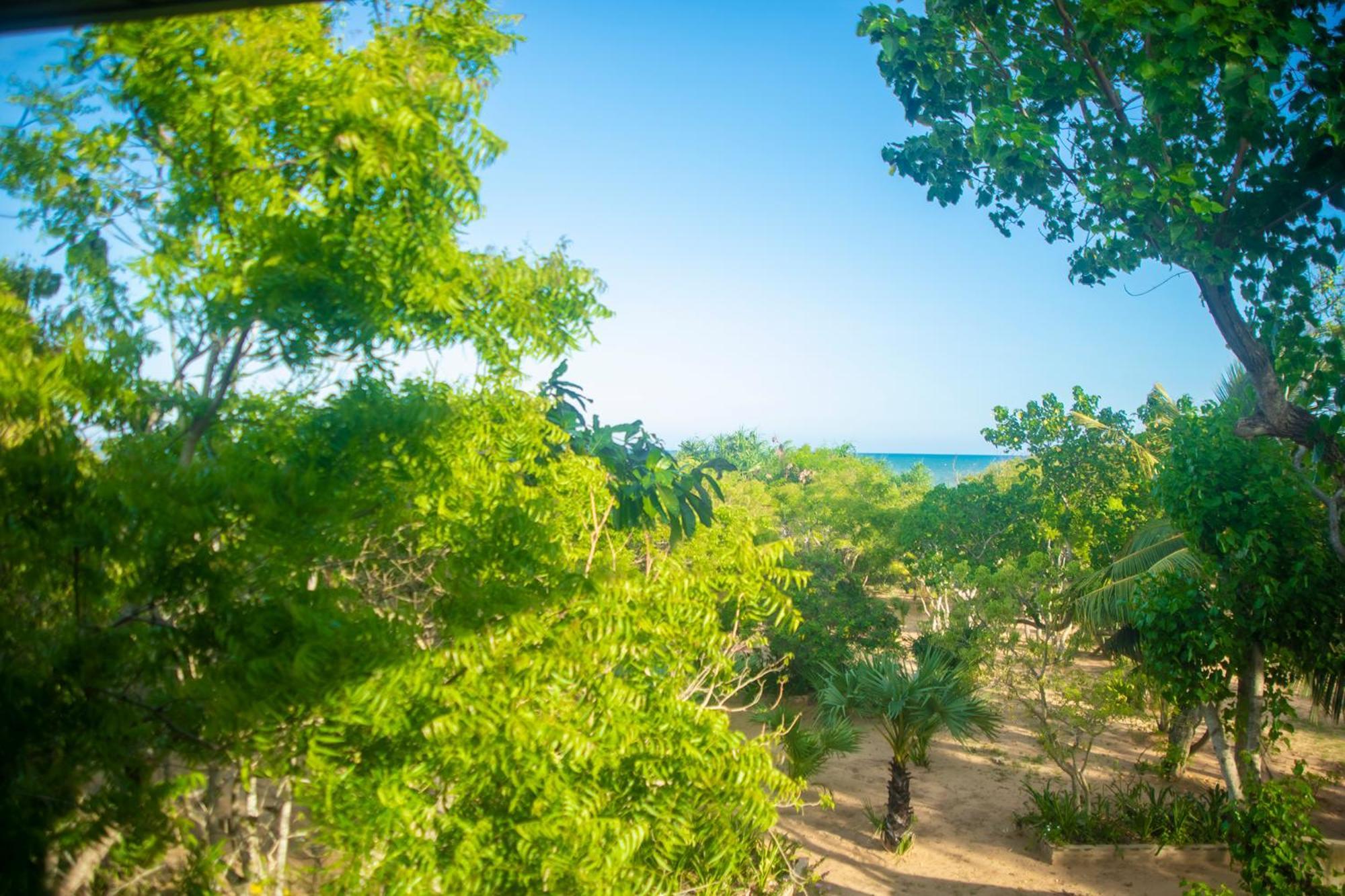 Nikara Luxury Beach House ทิซซามาฮารามา ภายนอก รูปภาพ